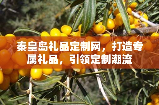 秦皇岛礼品定制网，打造专属礼品，引领定制潮流