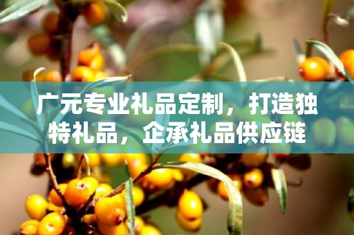 广元专业礼品定制，打造独特礼品，企承礼品供应链